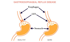Gastroenterologist near me